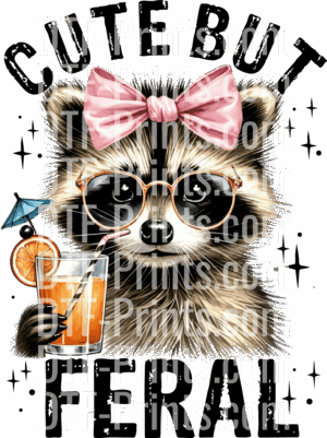 feral raccoon DTF transfer